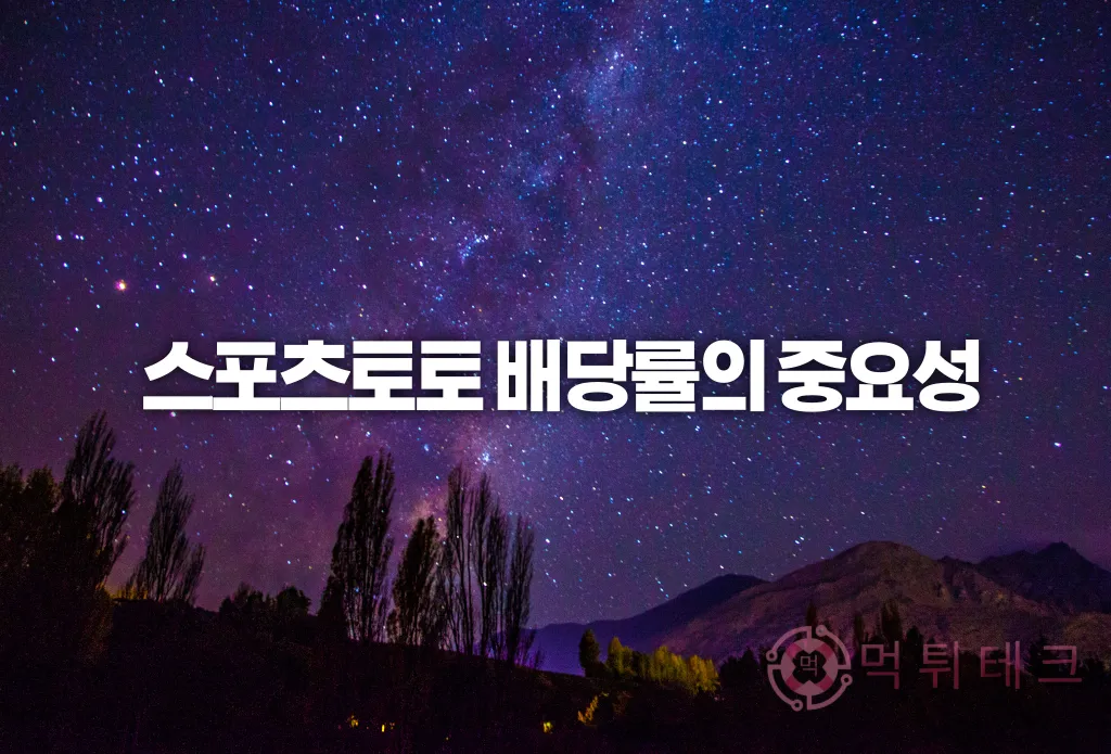 스포츠토토배당률의중요성