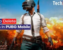 How to Delete Friends in PUBG Mobile