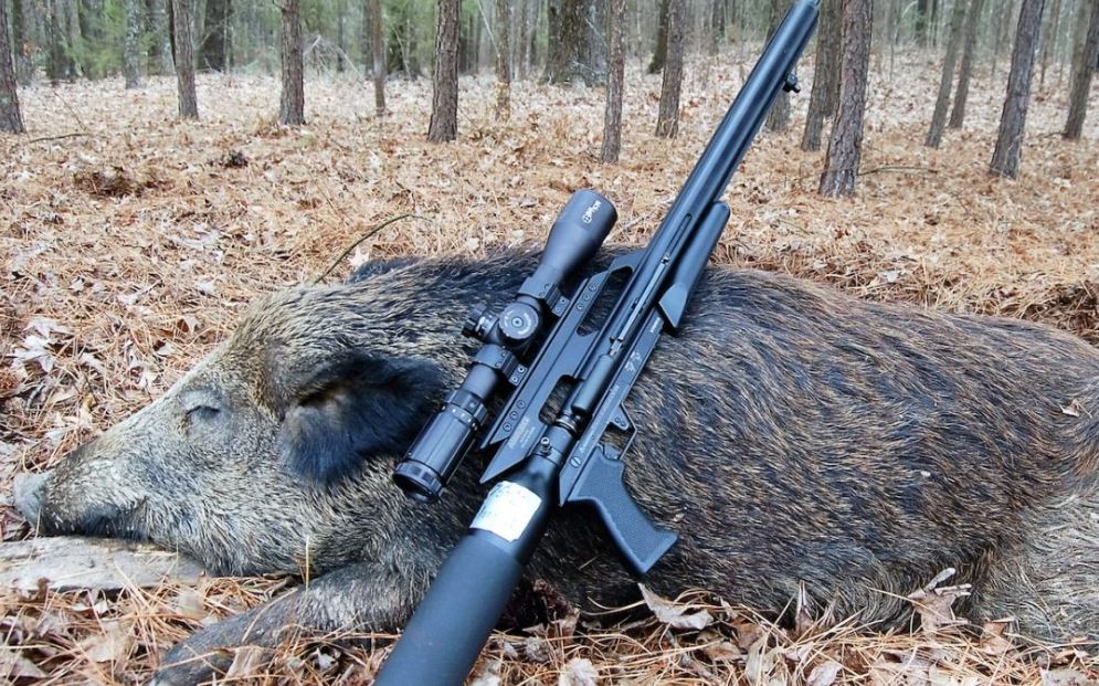 Best Scopes for Hog Hunting